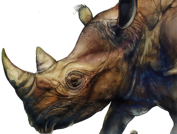 Rhinoceros-REFINED