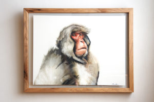 Japanese Macaque (with frame)