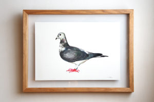 Pigeon(with frame)
