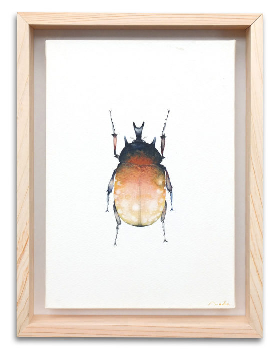 beetle01