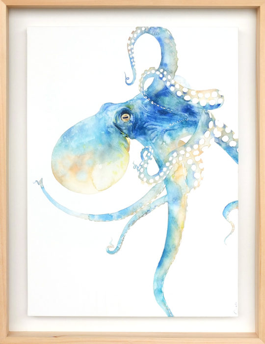 octopus(1000px)