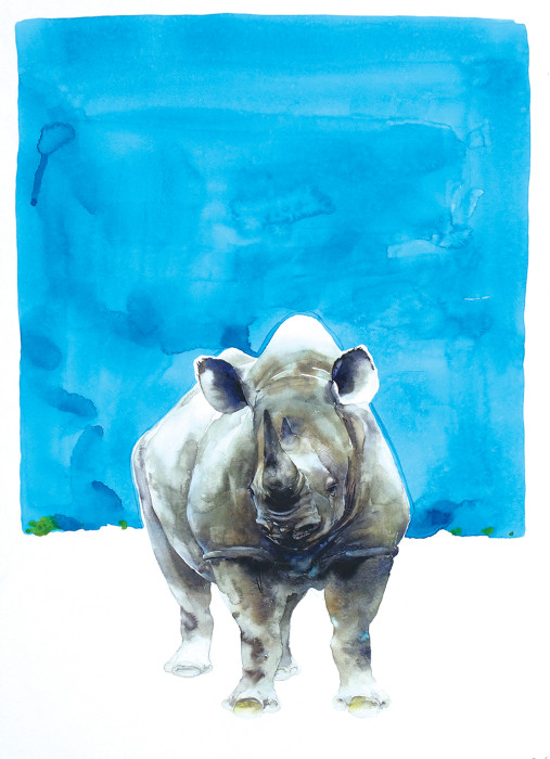 rhino(1000px)